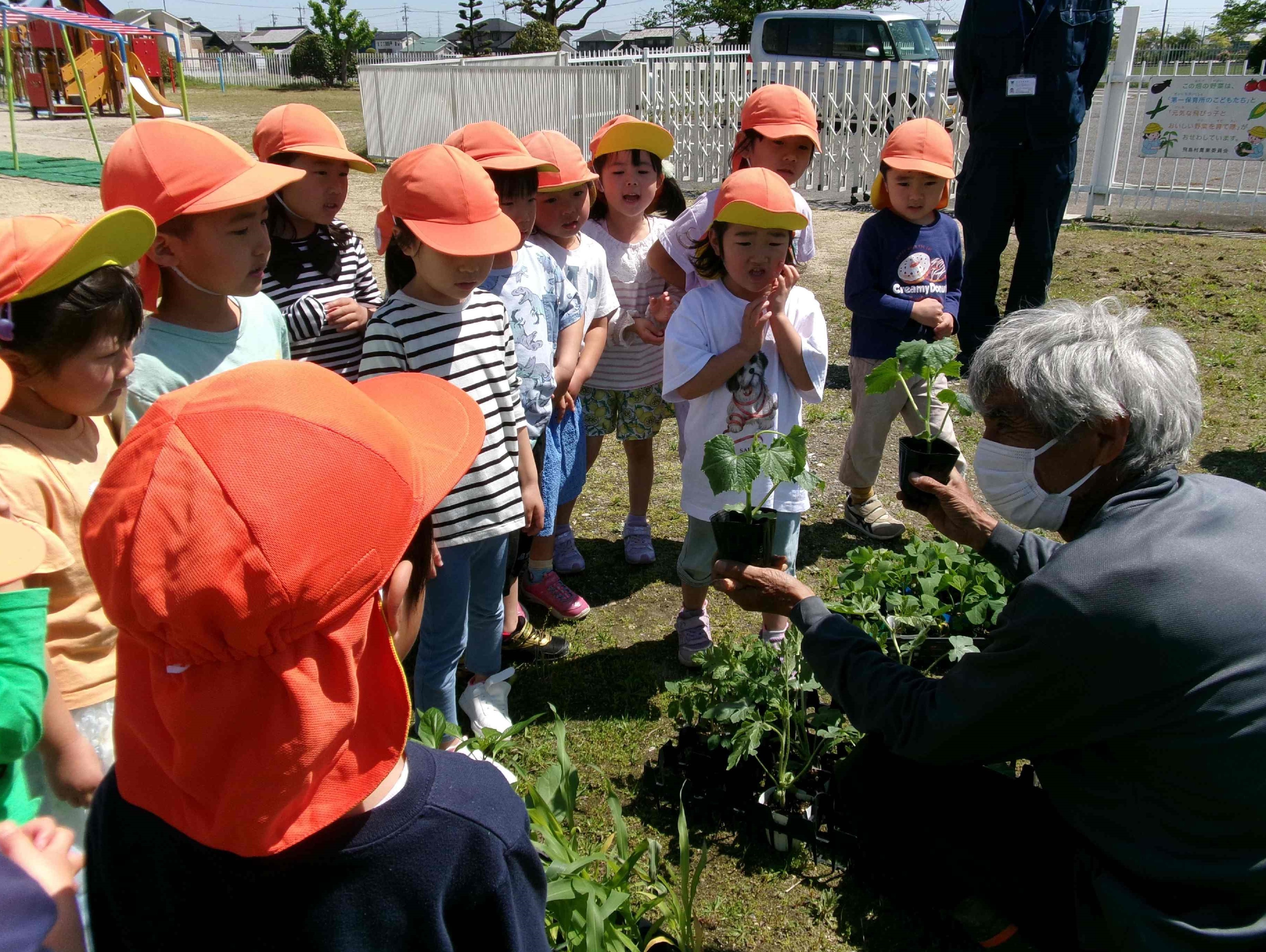 おいしい野菜を育て隊写真