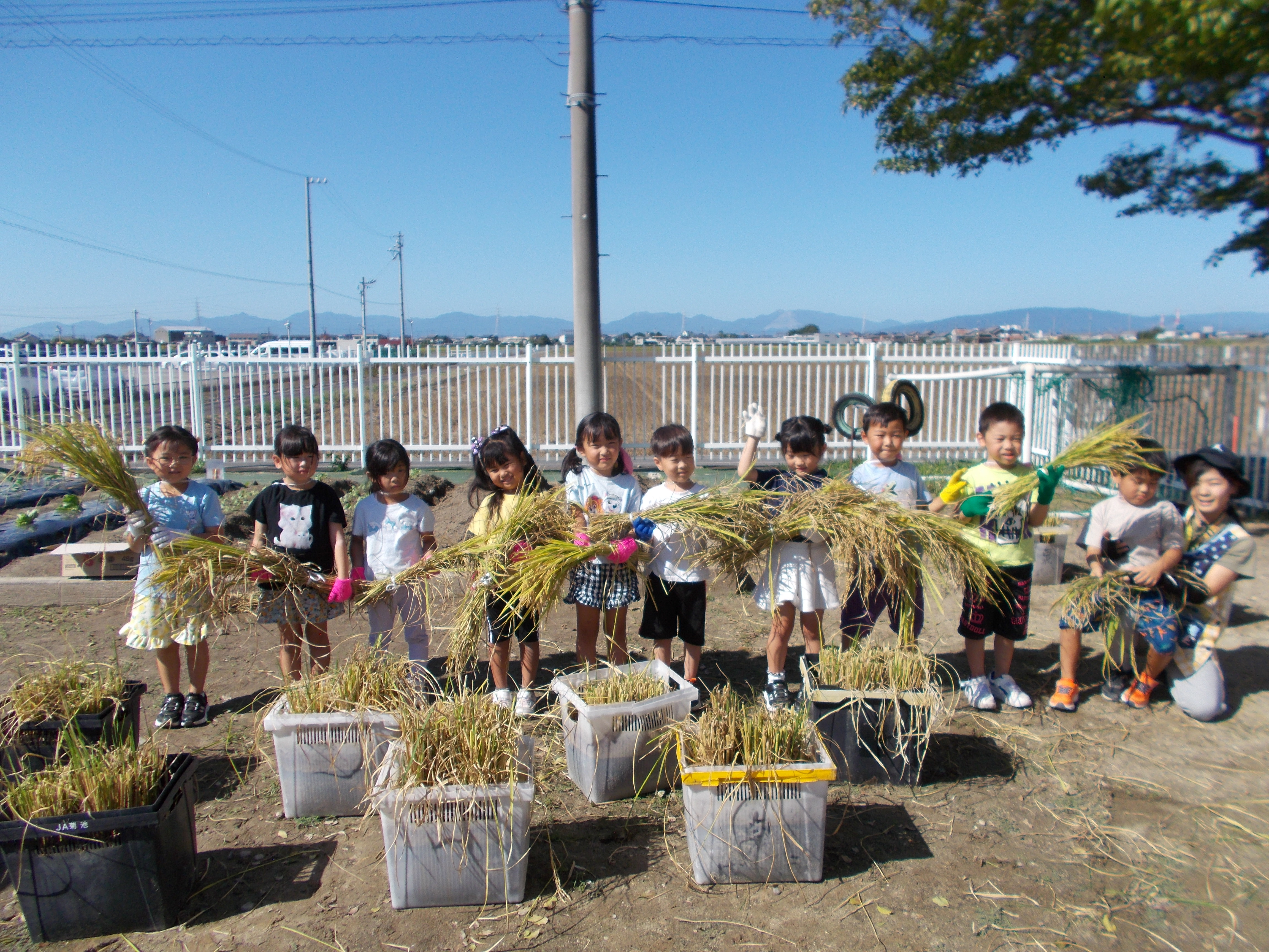 おいしい野菜を育て隊写真